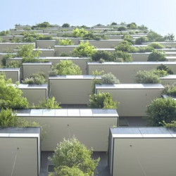 FOTO OBRA NUEVA RESIDENCIAL